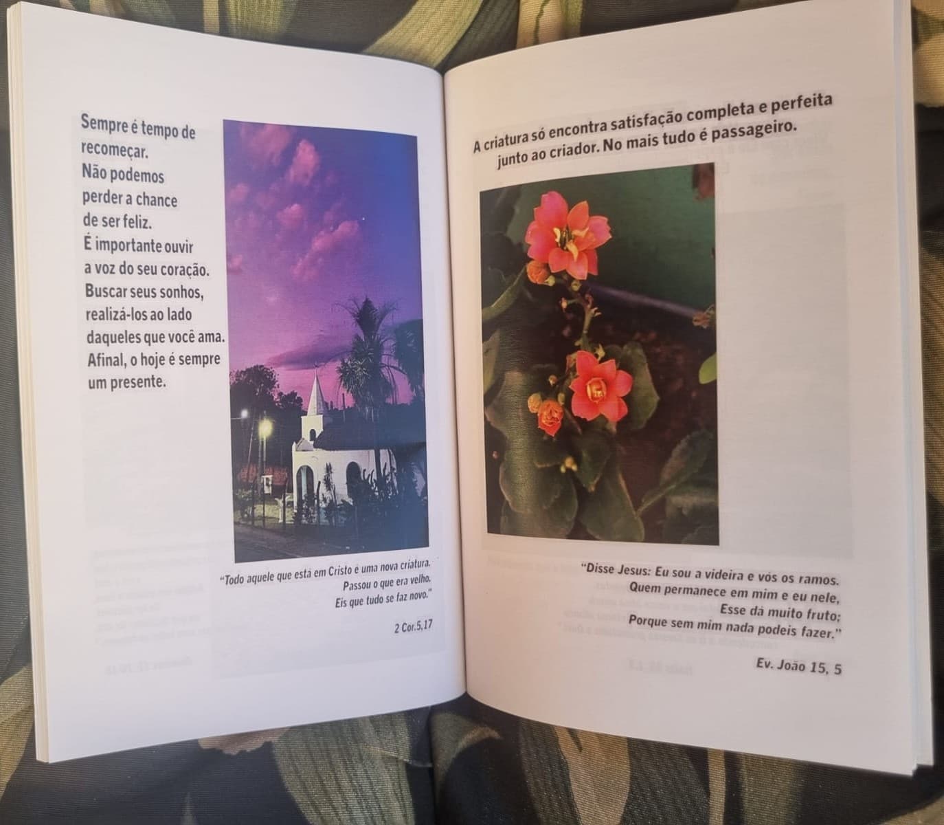 Páginas internas do livro Já Parou Para Ver?, cada uma com uma fotografia e um versículo