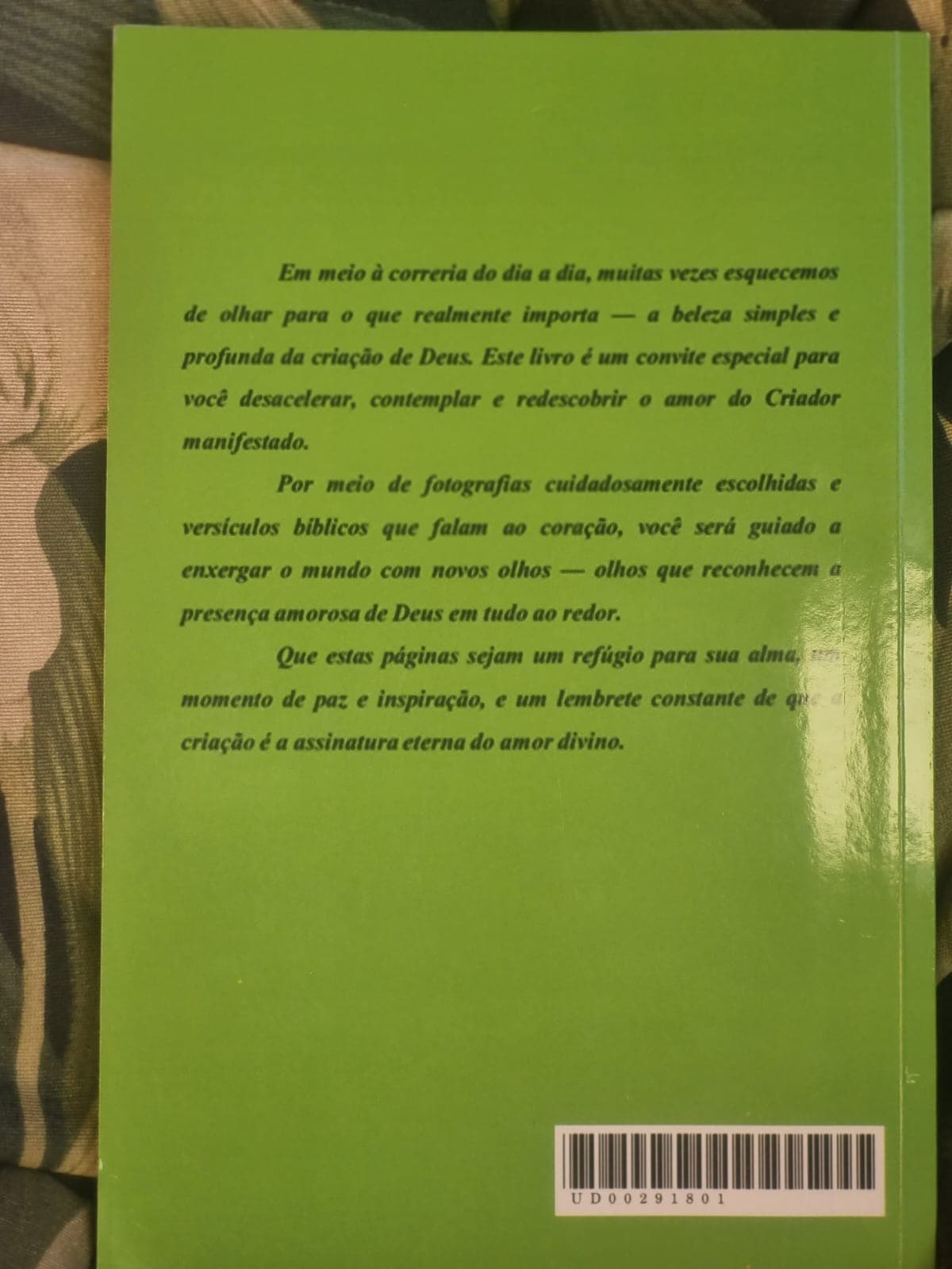 Quarta capa do livro Já Parou Para Ver?, com a sinopse
